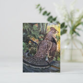 Ruffed Grouse in het bos Briefkaart (Staand voorkant)