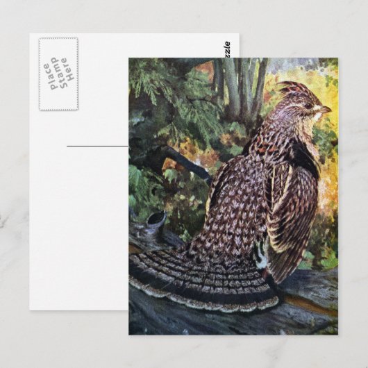 Ruffed Grouse in het bos Briefkaart (Voorkant / Achterkant)