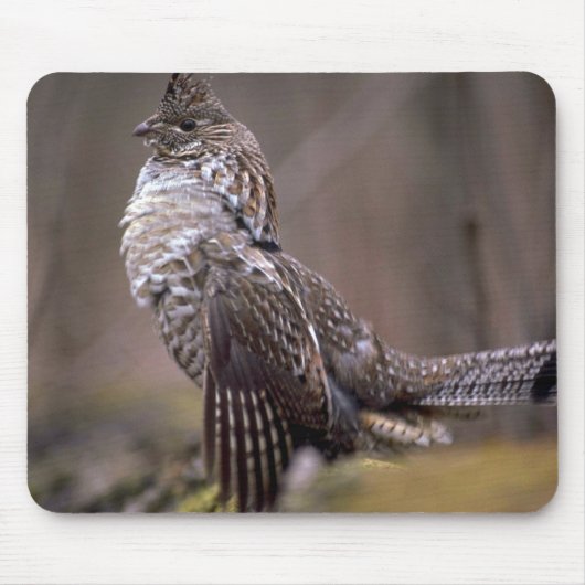 Ruffed Grouse Muismat (Voorkant)