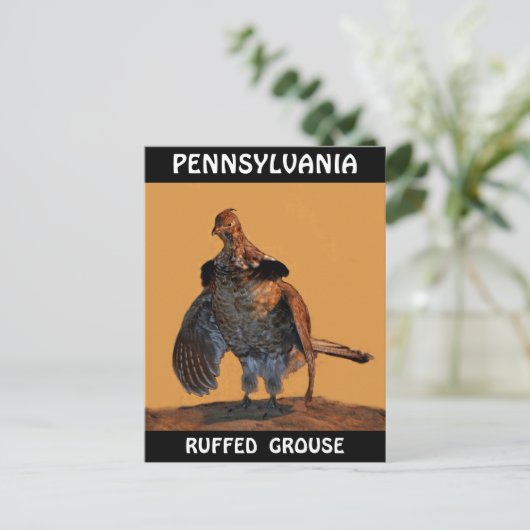 Ruffed Grouse (Pennsylvania) Briefkaart (Staand voorkant)