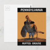 Ruffed Grouse (Pennsylvania) Briefkaart (Voorkant / Achterkant)