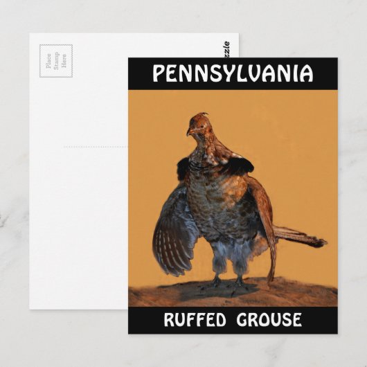 Ruffed Grouse (Pennsylvania) Briefkaart (Voorkant / Achterkant)