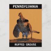 Ruffed Grouse (Pennsylvania) Briefkaart (Voorkant)