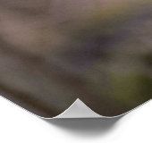 Ruffed Grouse Poster (Hoek)