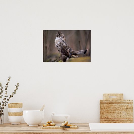 Ruffed Grouse Poster (Keuken)