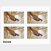 Ruffed Grouse Rechthoekige Sticker (Vel)
