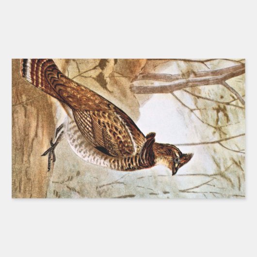 Ruffed Grouse Rechthoekige Sticker (Voorkant)