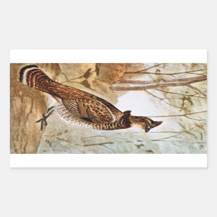 Ruffed Grouse Rechthoekige Sticker
