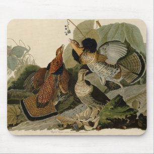 Ruffed Grouse - van Audubon's Birds of America Po Muismat