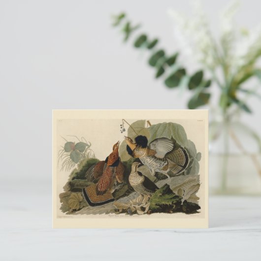 Ruffed Grouse - van de Amerikaanse vogels van Audu Briefkaart (Staand voorkant)