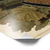 Ruffed Grouse - van de Amerikaanse vogels van Audu Foto Afdruk (Hoek)