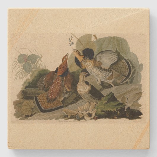 Ruffed Grouse - van de Amerikaanse vogels van Audu Stenen Onderzetter (Voorkant)