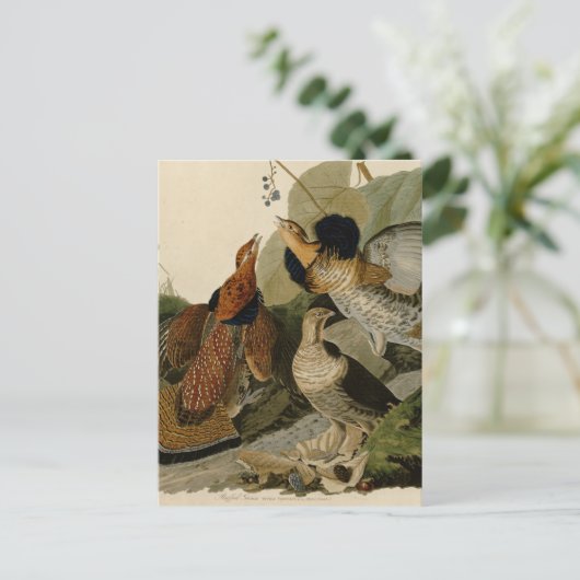 Ruffed Grouse van John Audubon Briefkaart (Staand voorkant)