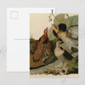 Ruffed Grouse van John Audubon Briefkaart (Voorkant / Achterkant)