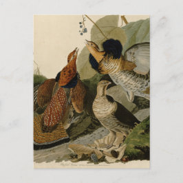 Ruffed Grouse van John Audubon Briefkaart
