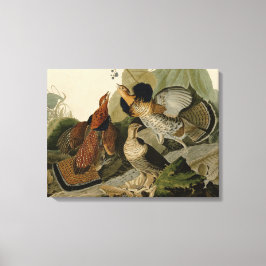 Ruffed Grouse van John Audubon Canvas Afdruk