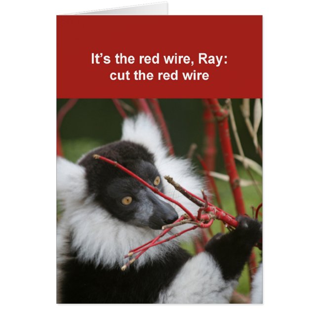 Ruffed lemur card (Voorkant)