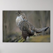 Ruffeldrummen Poster (Voorkant)