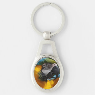 Ruffled Blue en Gold Macaw Sleutelhanger