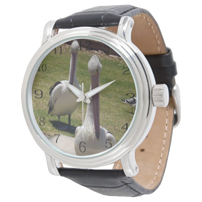 Ruffled Feathers: Pelikanen met een houding, Horloge (Gekanteld)
