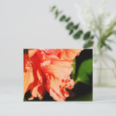 Ruffled Hibiscus Briefkaart (Staand voorkant)