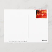 Ruffled Hibiscus Briefkaart (Achterkant)