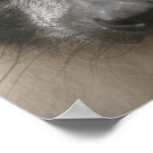 Ruffled Lemur Posters (Hoek)