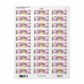 Ruffled Pink Daylily Etiket (Full Sheet)