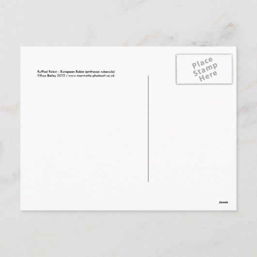 Ruffled Robin Kerst Briefkaart (Achterkant)