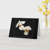'Ruffles' Blank Wenskaart Kaart (Gele Bloem)