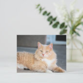 Ruffles Briefkaart (Staand voorkant)