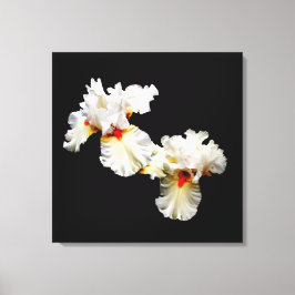 'Ruffles' Canvasprint met lijst Canvas Afdruk
