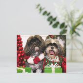 Ruffles en Riley - Shih Tzu - Miller Briefkaart (Staand voorkant)