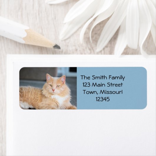 Ruffles Etiket (Insitu)