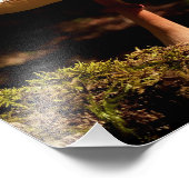 Ruffles Foto Afdruk (Hoek)