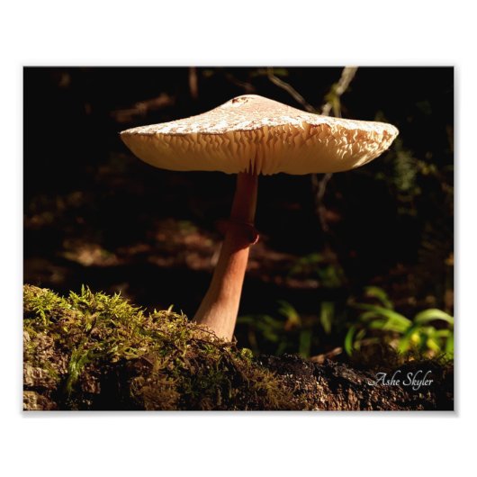 Ruffles Foto Afdruk (Voorkant)