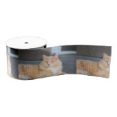 Ruffles Grosgrain Lint (Spoel)