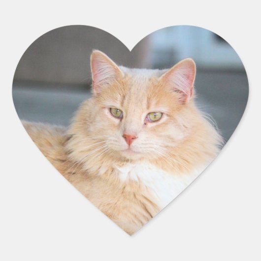 Ruffles Hart Sticker (Voorkant)