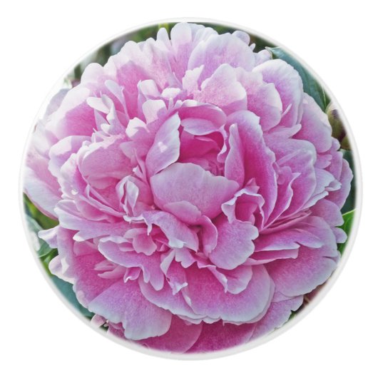 "Ruffles of Pink Peony" Keramische Knop (Voorkant)