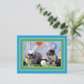 Ruffles_Riley_Shih_Tzu_Miller-2 Briefkaart (Staand voorkant)