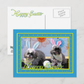 Ruffles_Riley_Shih_Tzu_Miller-2 Briefkaart (Voorkant / Achterkant)