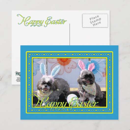 Ruffles_Riley_Shih_Tzu_Miller-2 Briefkaart (Voorkant / Achterkant)