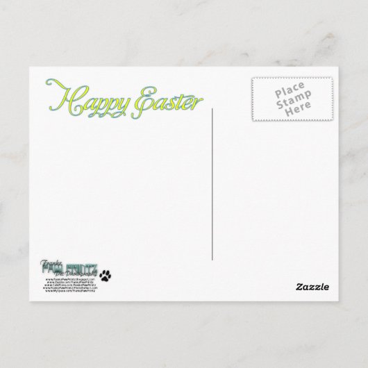 Ruffles_Riley_Shih_Tzu_Miller-2 Briefkaart (Achterkant)