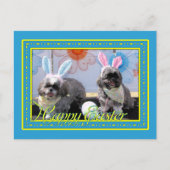 Ruffles_Riley_Shih_Tzu_Miller-2 Briefkaart (Voorkant)