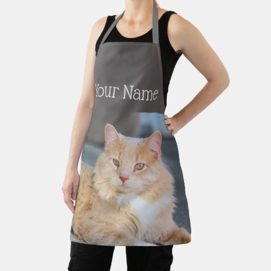 Ruffles Schort (Insitu)