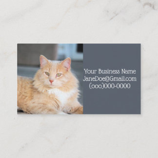 Ruffles Visitekaartje