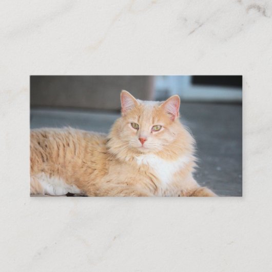 Ruffles Visitekaartje (Voorkant)