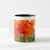 Ruffleus ranunculus tweekleurige koffiemok (Voorkant links)