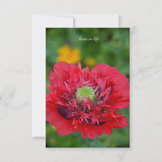 Ruffly Red Poppy Notitiekaartje (Voorkant)