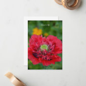 Ruffly Red Poppy Notitiekaartje (Voorkant / Achterkant in situ)